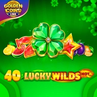 40 Lucky Wilds Hot Golden Coins Link